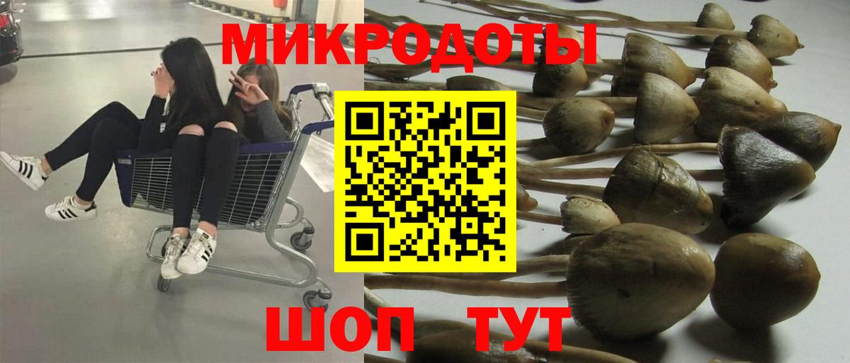 Чехов  Псилоцибиновые грибы мухоморы  Вход с VPN 